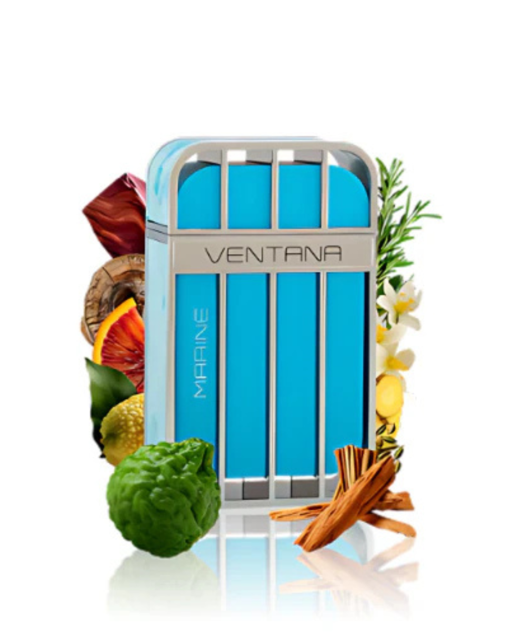 VENTANA MARINE